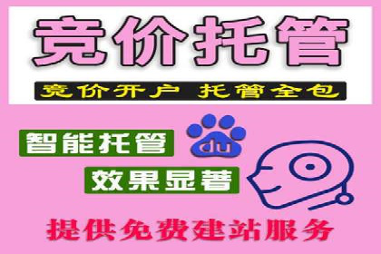 百度推广运营实战技巧：案例教学与实战